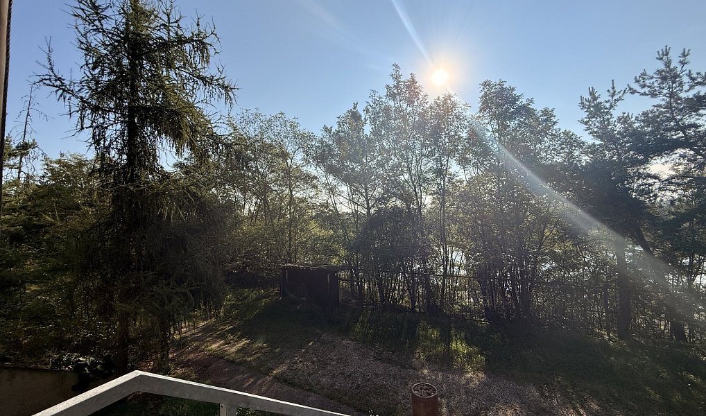 Prodej chaty/chalupy 180 m² s pozemkem 694 m², Račice – náhled fotky 19
