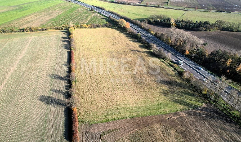 Prodej pole 16 095 m², Předměřice nad Jizerou – náhled fotky 4