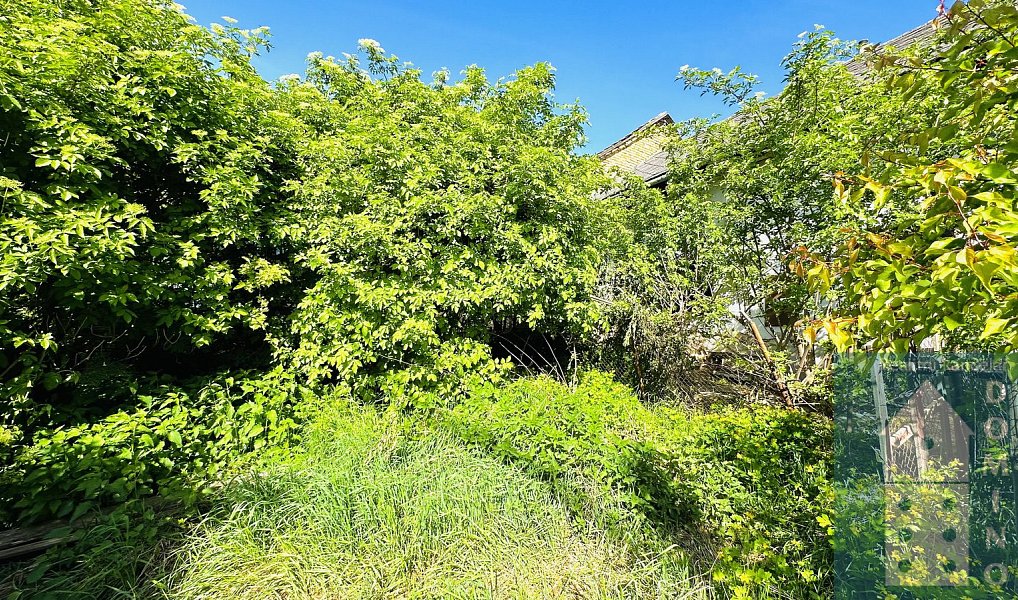 Prodej domu 187 m², Zborovice – náhled fotky 14