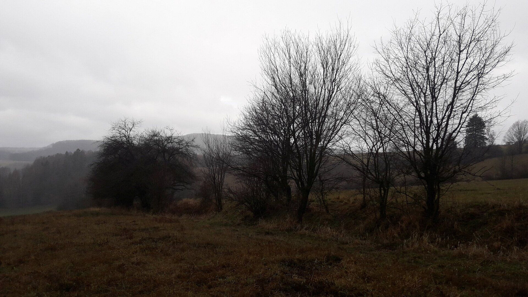 Prodej pole 25 028 m² – fotografie 3