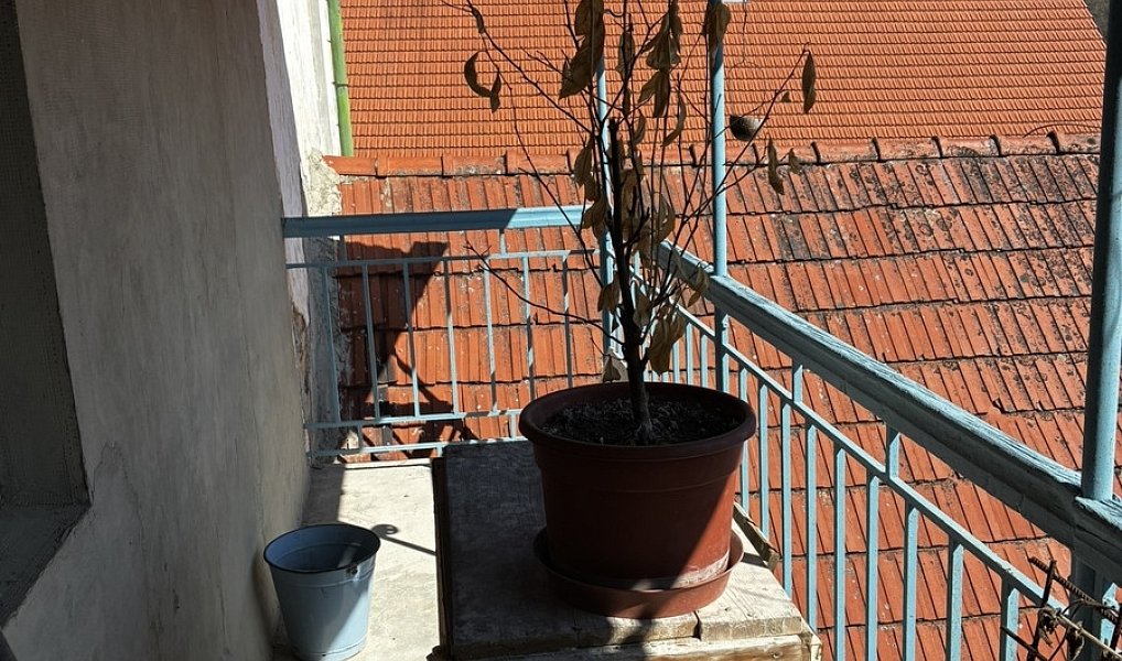 Prodej domu 250 m² s pozemkem 176 m², Benešov nad Černou – náhled fotky 5