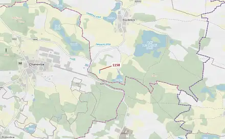 Dražba lesa 1 323 m², Chanovice