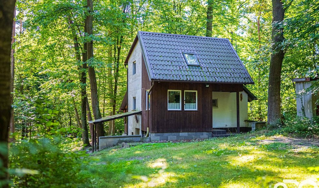 Prodej chaty/chalupy 30 m² s pozemkem 30 m², Ráby – náhled fotky 7