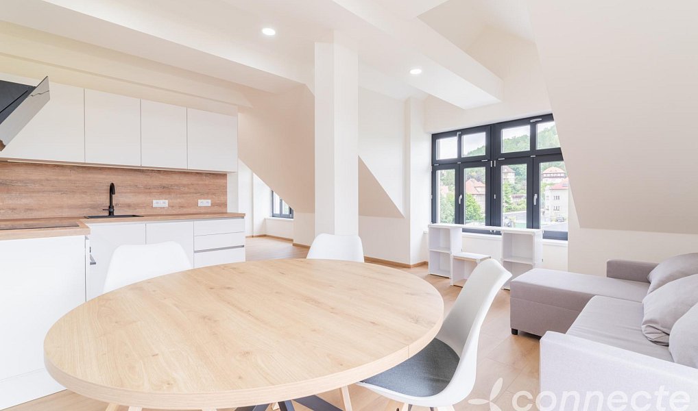 Prodej bytu 1+kk 45 m², Nový Bor – náhled fotky 11