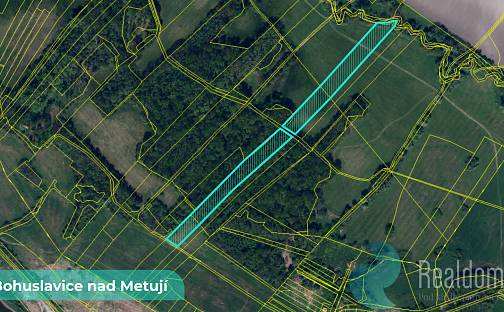 Prodej pozemku 43 749 m², Bohuslavice, okres Náchod