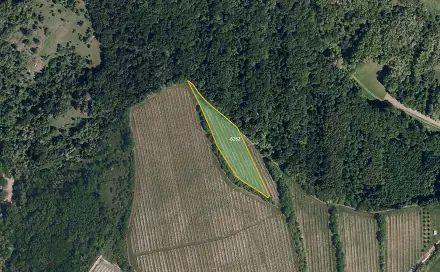 Prodej pole 6 109 m², Kobylí, okres Břeclav