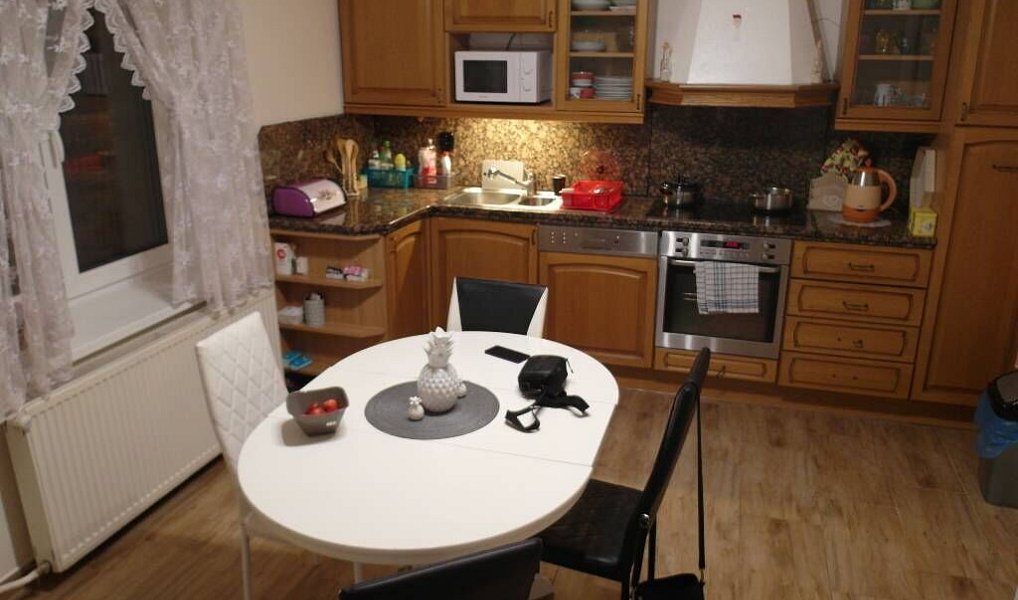 Prodej domu 250 m² s pozemkem 484 m², Teplice – náhled fotky 3