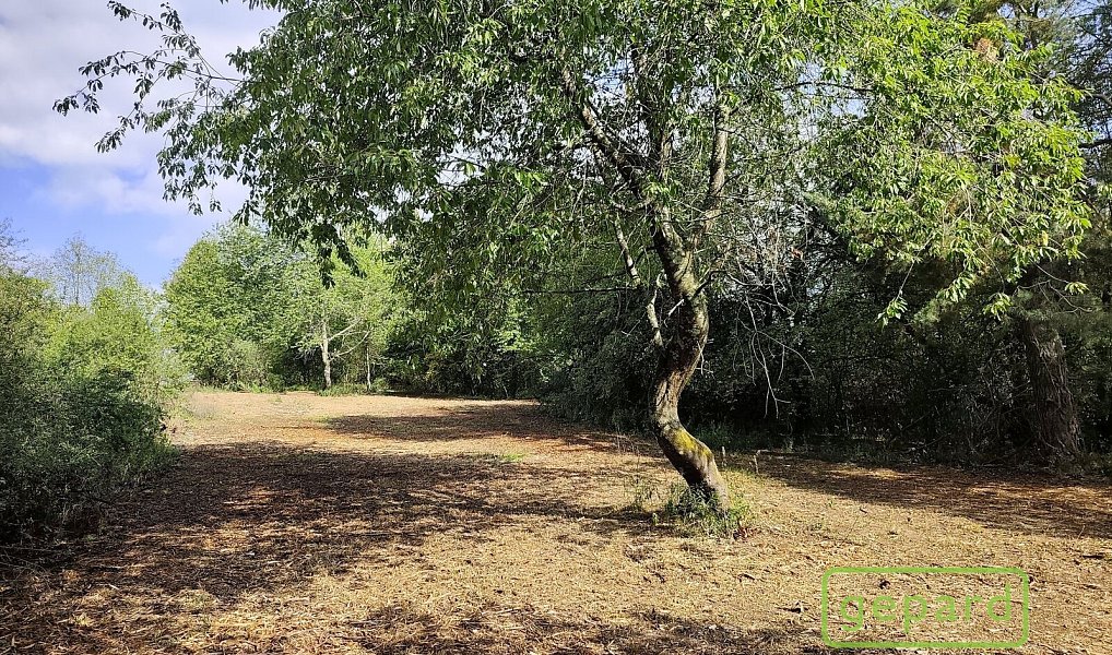 Prodej stavebního pozemku 14 307 m², Světlík – náhled fotky 2