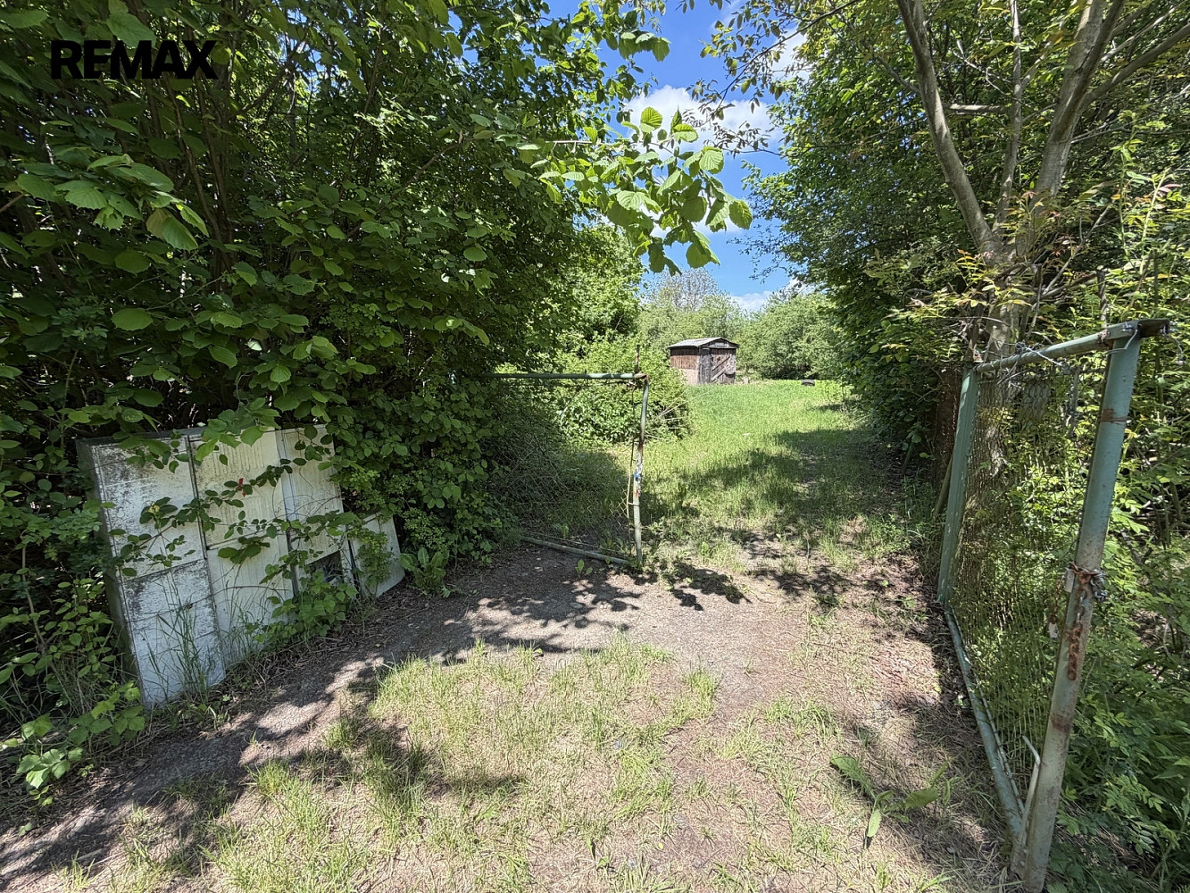 Pronájem zahrady 2 982 m² — photo 3