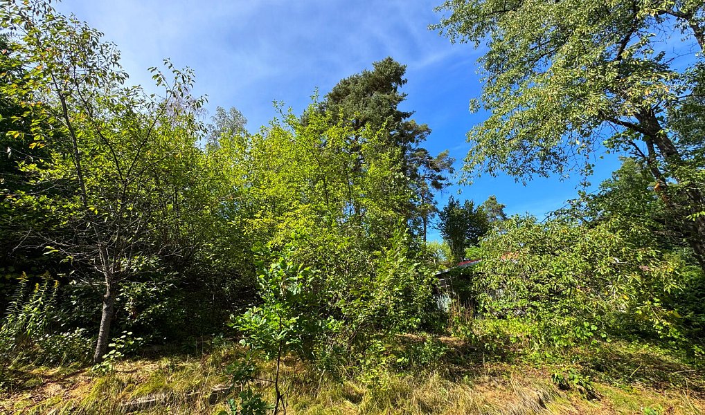 Prodej chaty/chalupy 48 m² s pozemkem 829 m², Kestřany – náhled fotky 8