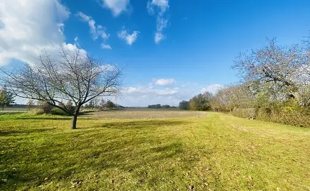 Prodej komerčního pozemku 1 970 m², Lanžhot, okres Břeclav
