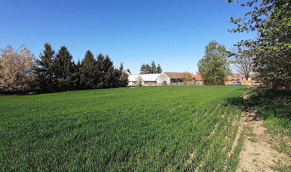 Prodej stavebního pozemku 1 153 m², Rybníček – náhled fotky 4