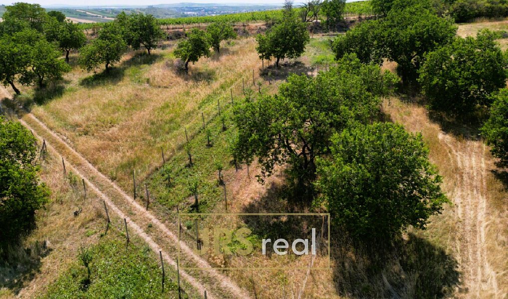 Prodej pole 358 m², Němčičky – náhled fotky 6