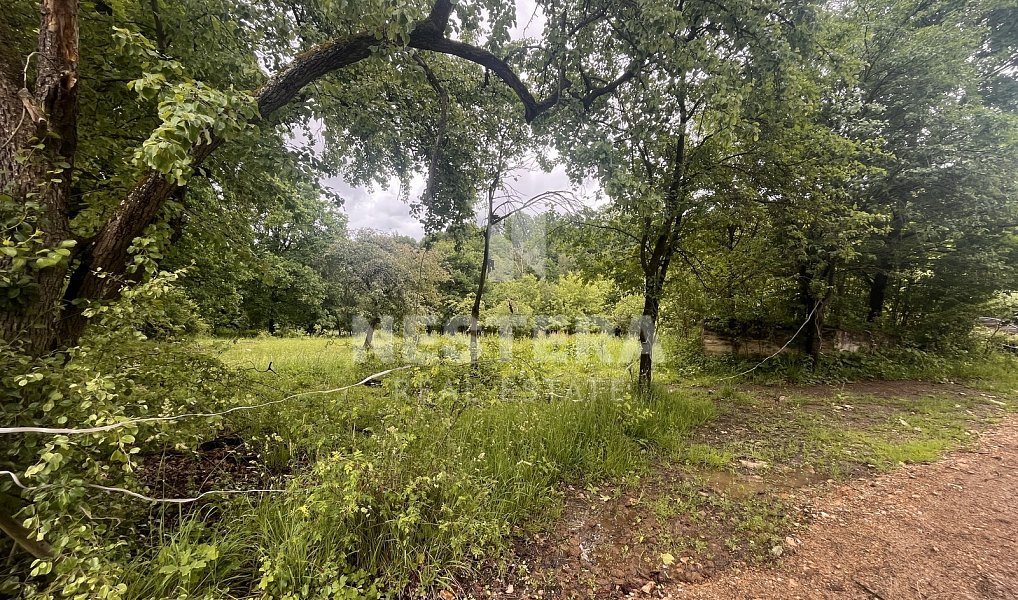 Prodej stavebního pozemku 112 997 m², Popovice – náhled fotky 2