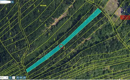 Prodej lesa 2 800 m², Kobylí, okres Břeclav