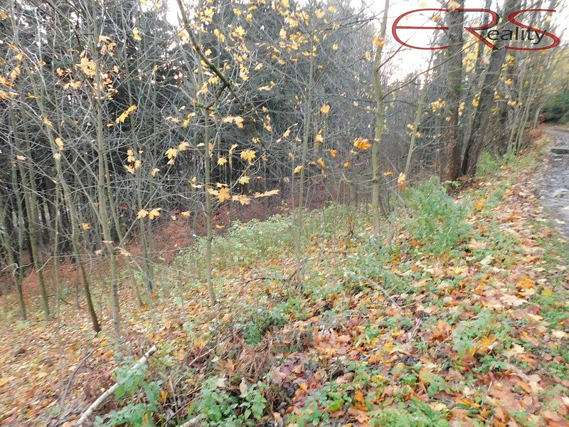 Prodej louky 3 165 m² – fotografie 5
