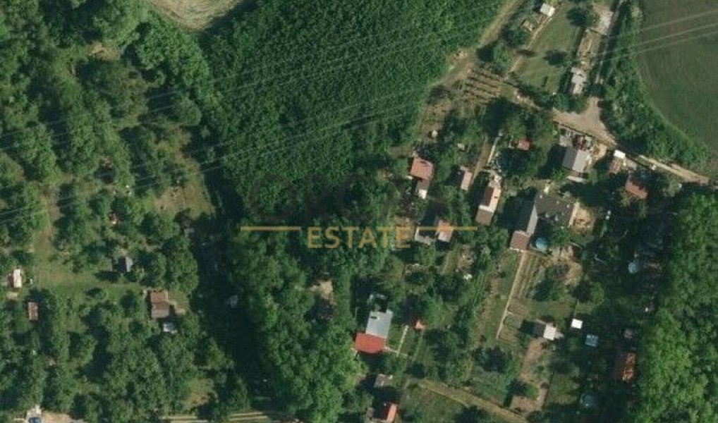 Prodej lesa 4 526 m², Vojkovice – náhled fotky 5