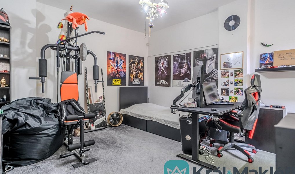 Prodej domu 242 m² s pozemkem 1 167 m², Ústí nad Labem – náhled fotky 22