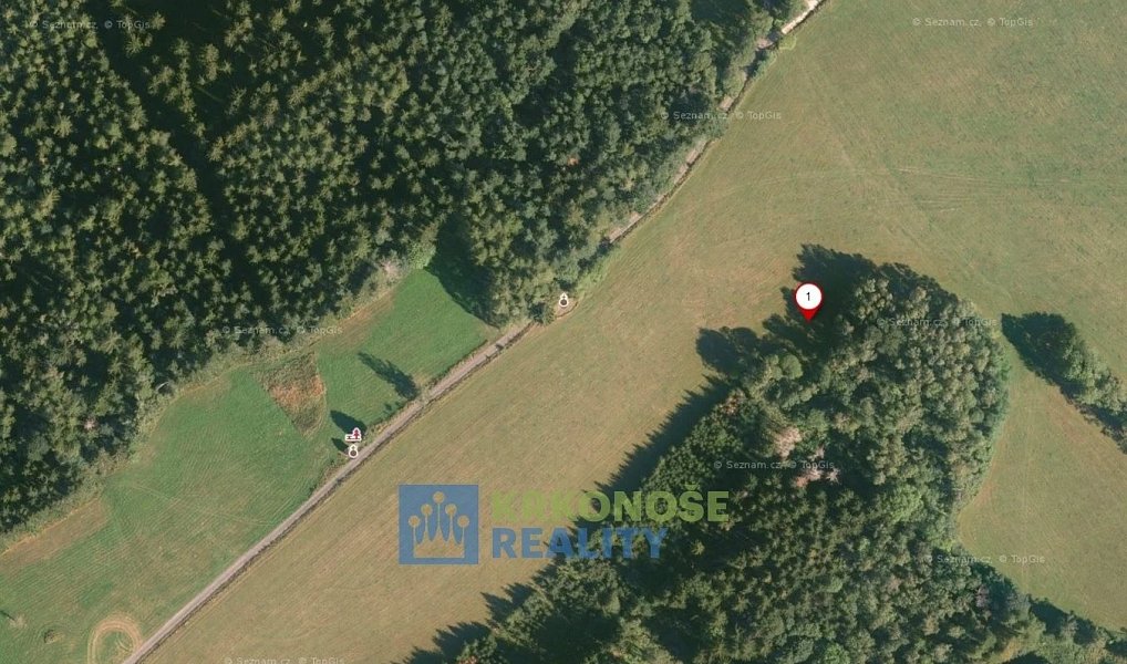 Prodej pozemku 4 617 m², Černý Důl – náhled fotky 6