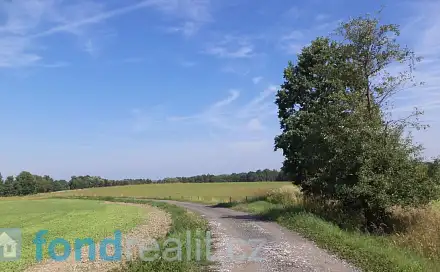 Prodej pozemku 3 240 m², Čejetice - Mladějovice, okres Strakonice