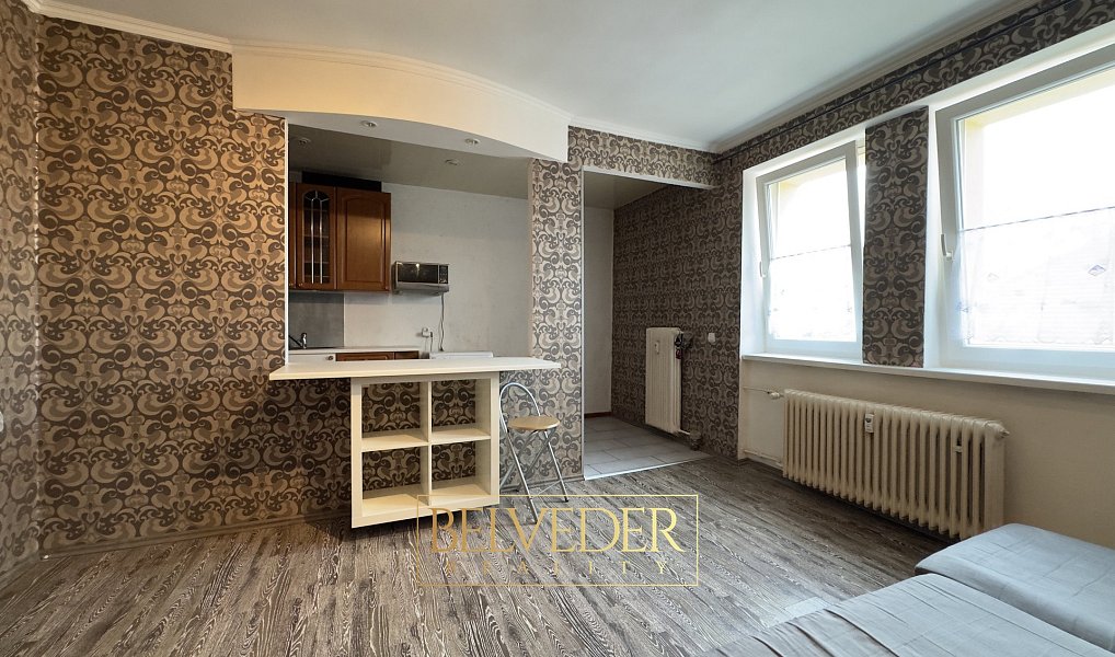 Prodej bytu 1+1 37 m², Teplice – náhled fotky 7