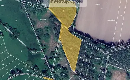 Prodej lesa 7 026 m², Kravaře, okres Opava