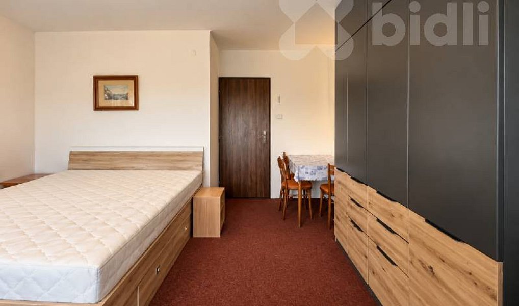 Pronájem bytu 2+1 78 m², Horka nad Moravou – náhled fotky 6