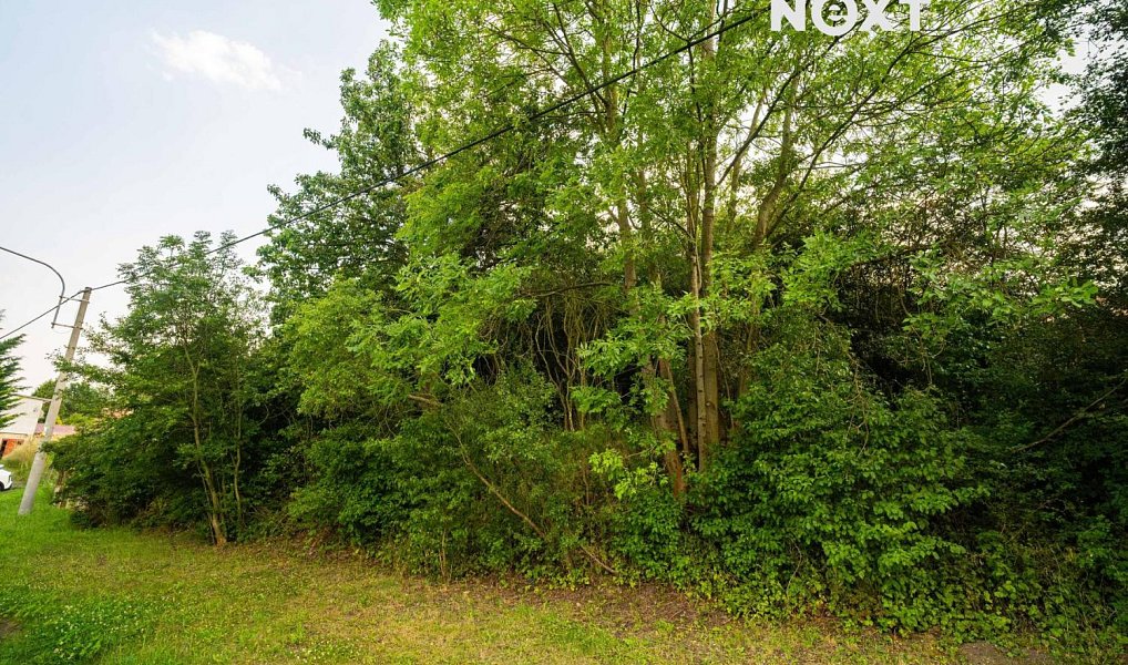 Prodej stavebního pozemku 1 374 m², Želenice – náhled fotky 11