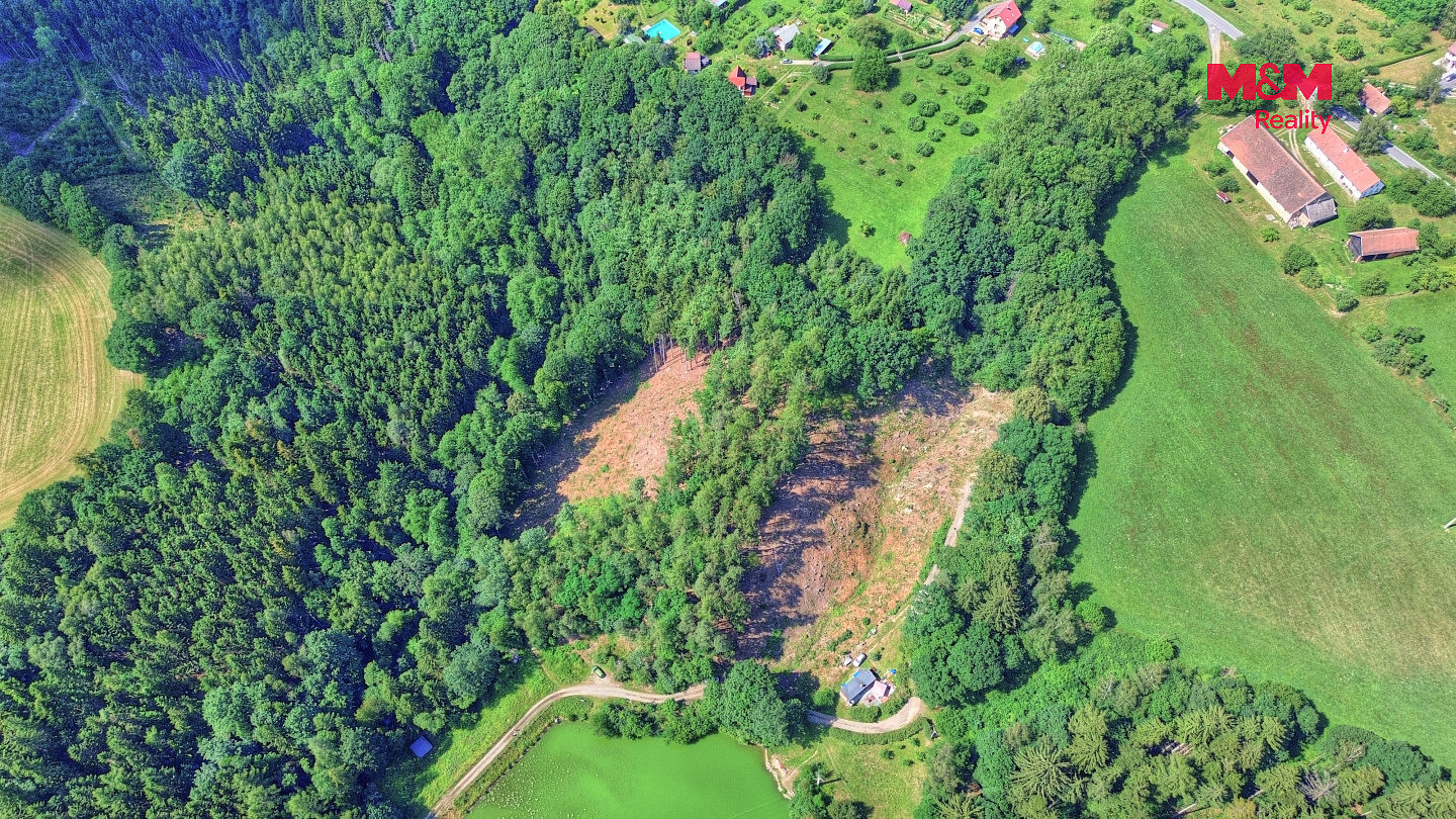 Prodej lesa 32 996 m² — photo 2