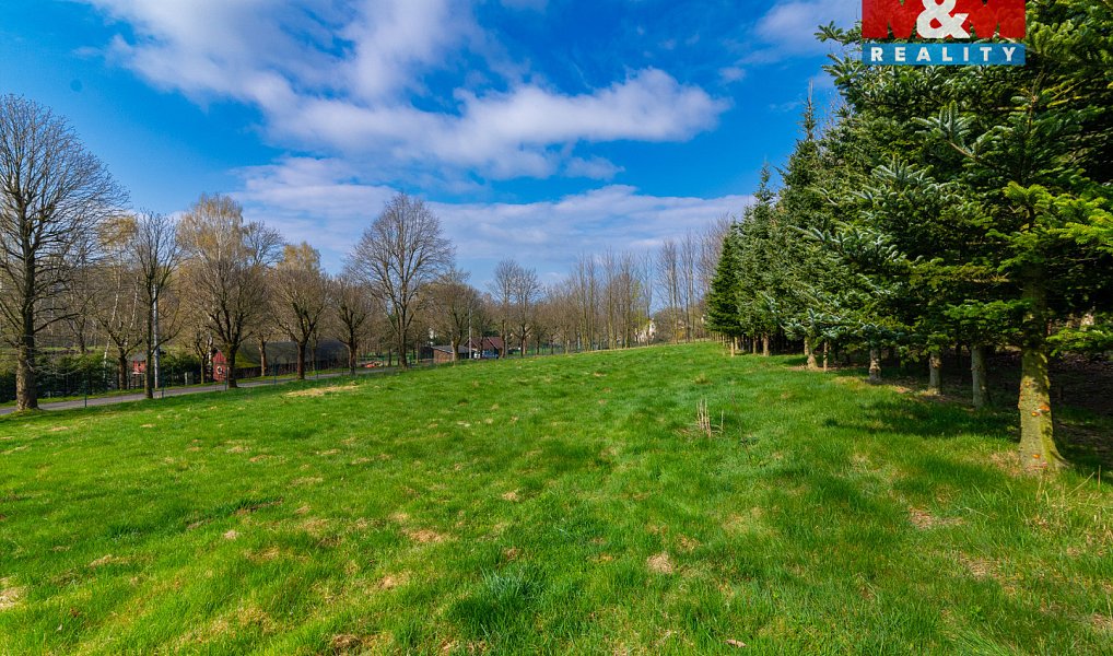 Prodej stavebního pozemku 1 218 m², Nové Město pod Smrkem – náhled fotky 12