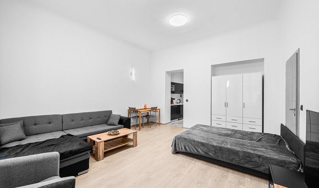 Pronájem bytu 1+kk 40 m², Praha – náhled fotky 2