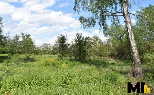 Prodej stavebního pozemku 4 941 m², Polom, okres Přerov