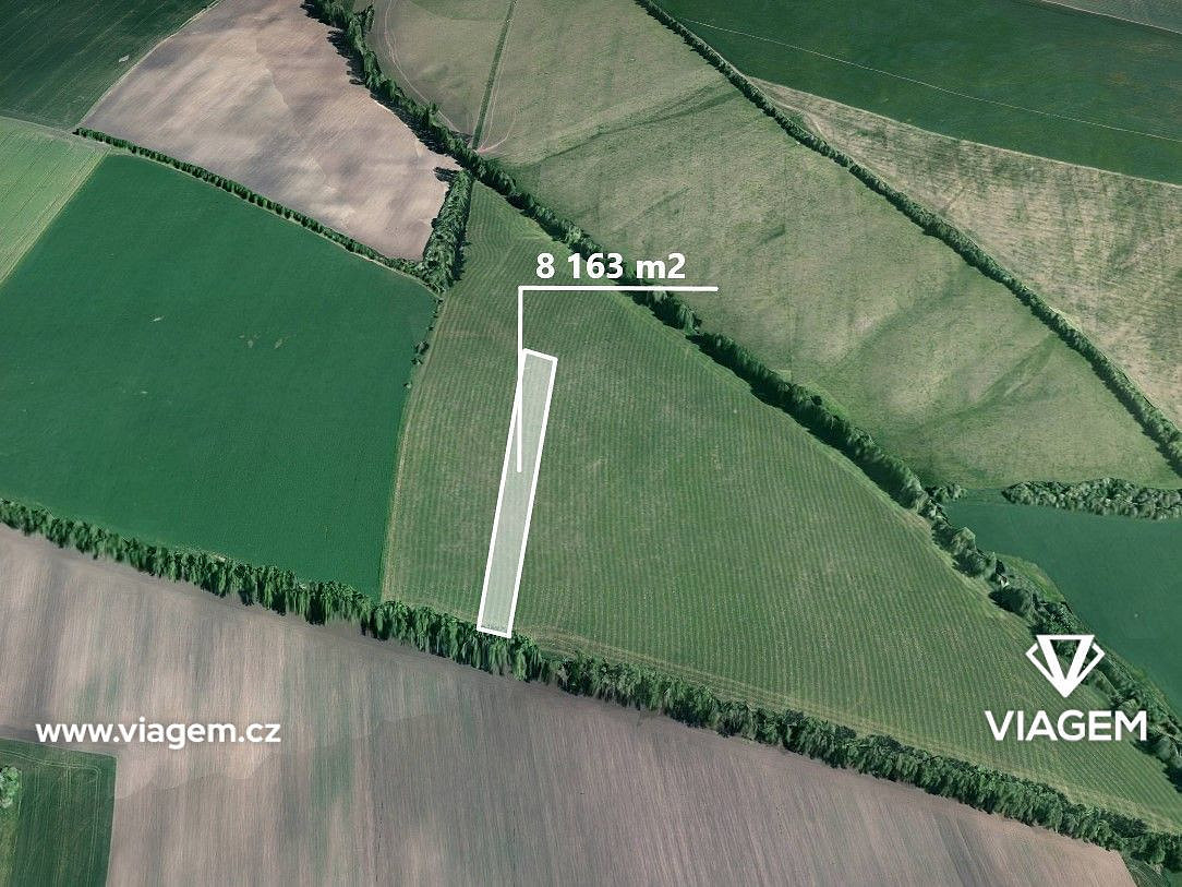 Prodej pole 8 163 m²