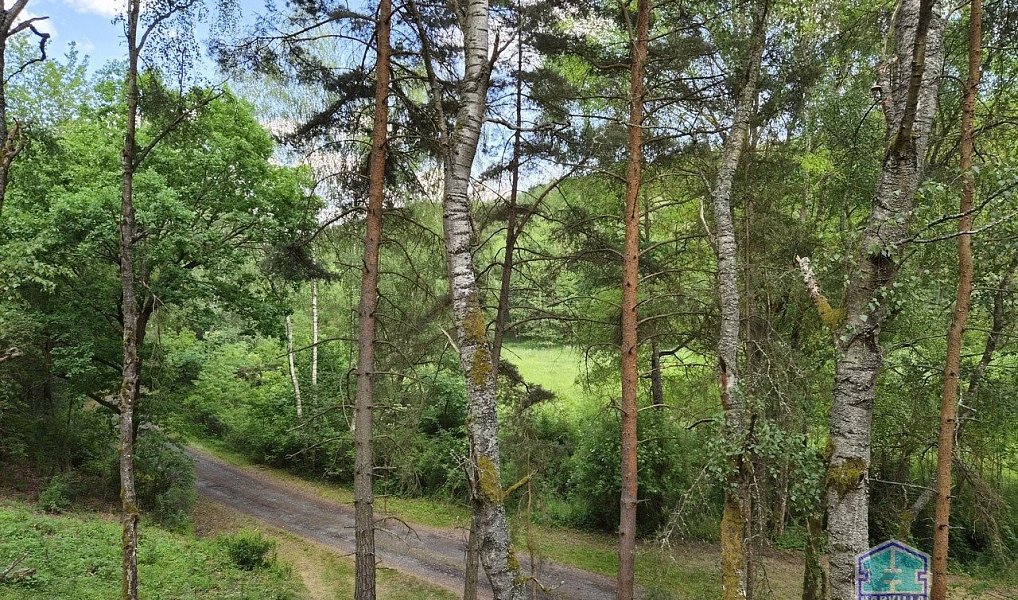 Prodej chaty/chalupy 59 m² s pozemkem 45 m², Svojšín – náhled fotky 14