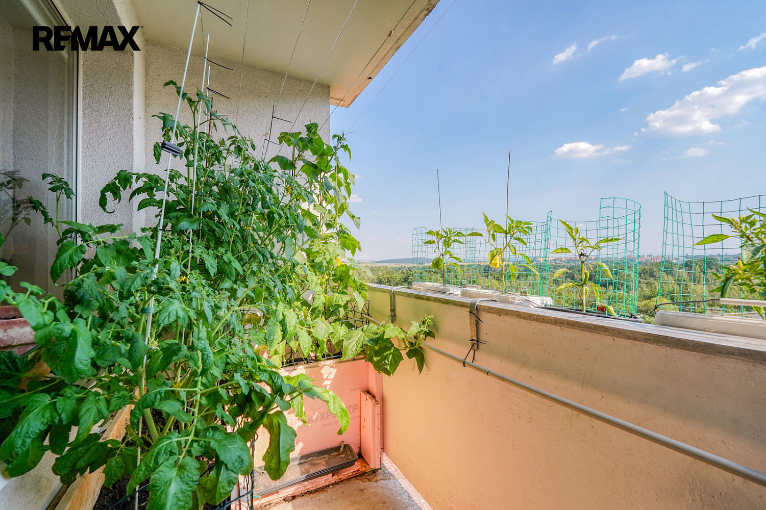 Prodej bytu 4+1 76 m² — photo 4