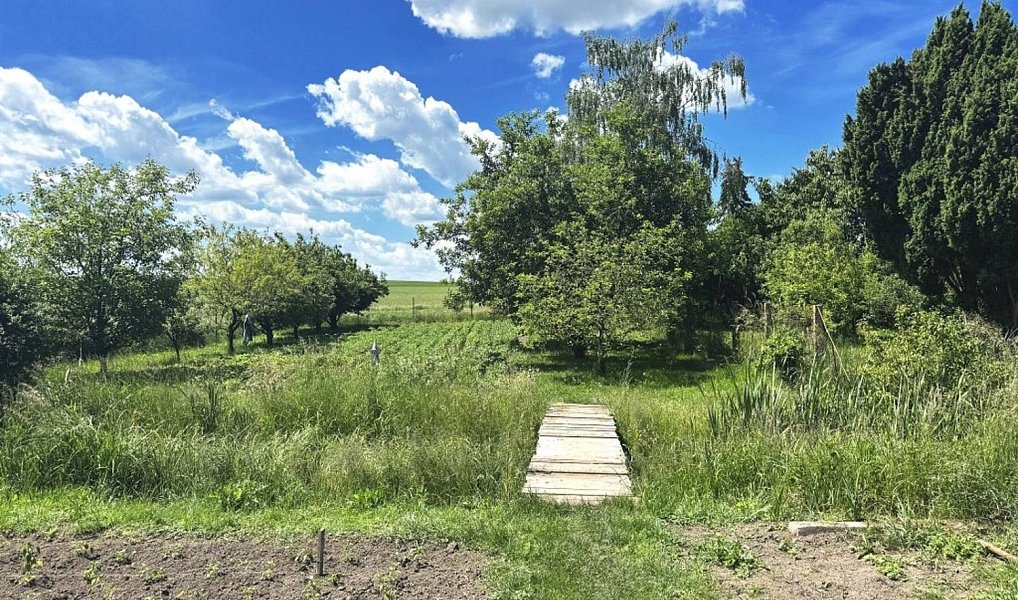 Prodej zahrady 1 306 m², Dolní Bezděkov – náhled fotky 5