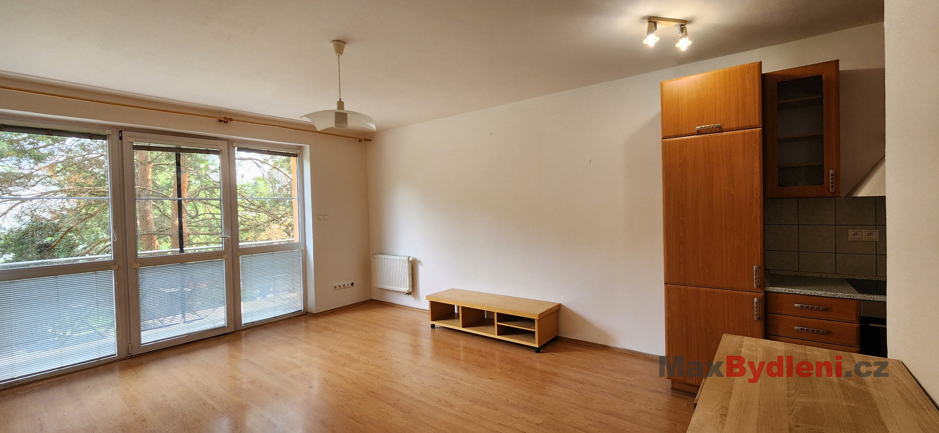 Pronájem bytu 1+kk 48 m² - Widok 2