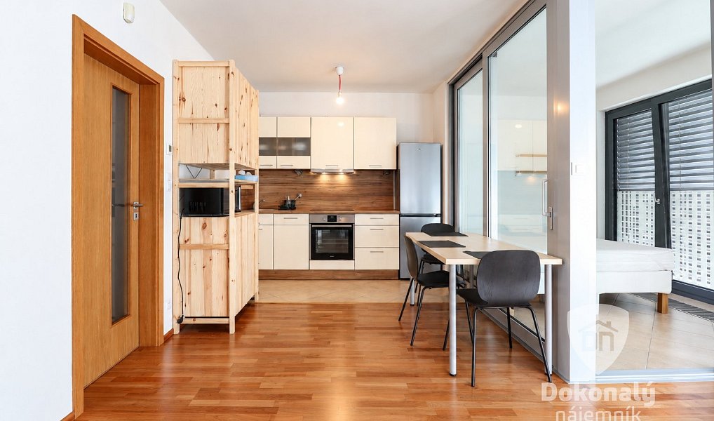 Pronájem bytu 1+1 48 m², Praha – náhled fotky 5