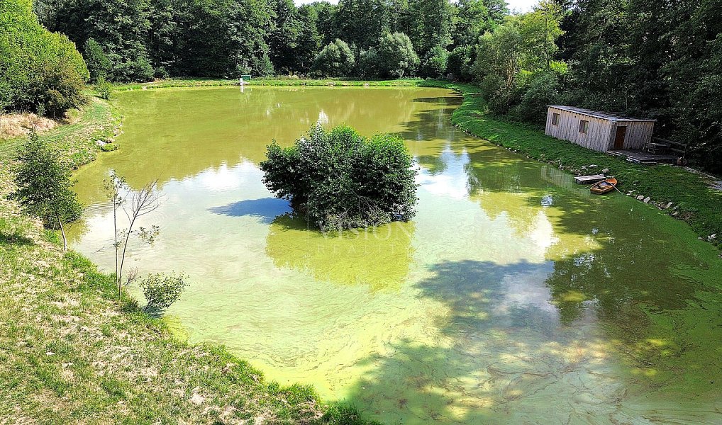 Prodej vodní plochy 7 129 m², Slavonice – náhled fotky 3