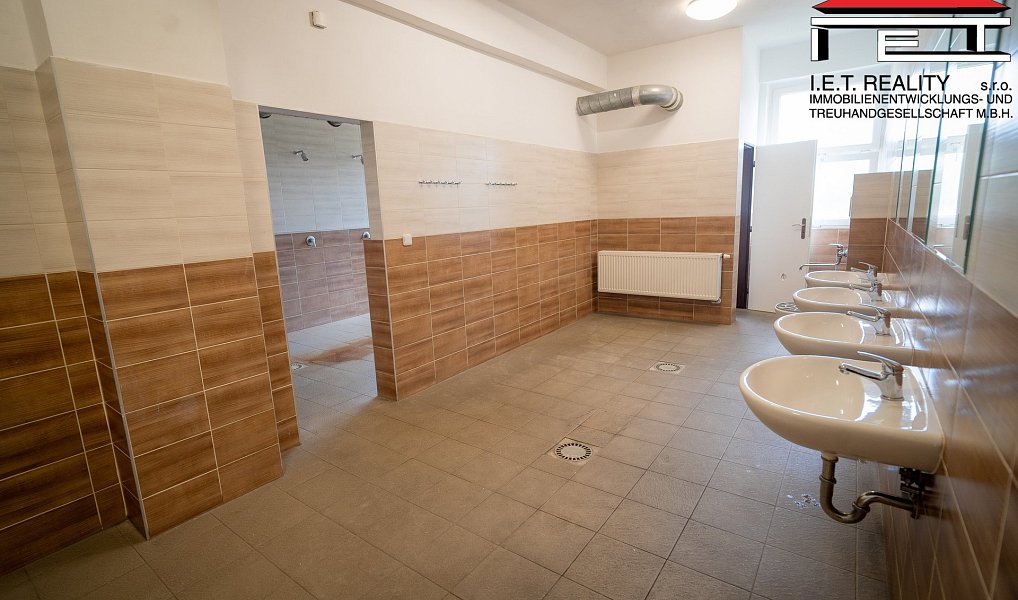 Prodej výrobních prostor 21 100 m², Ostrava – náhled fotky 24