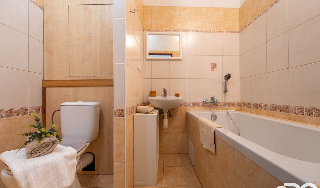 Prodej bytu 1+1 40 m², Mladá Boleslav – náhled fotky 3
