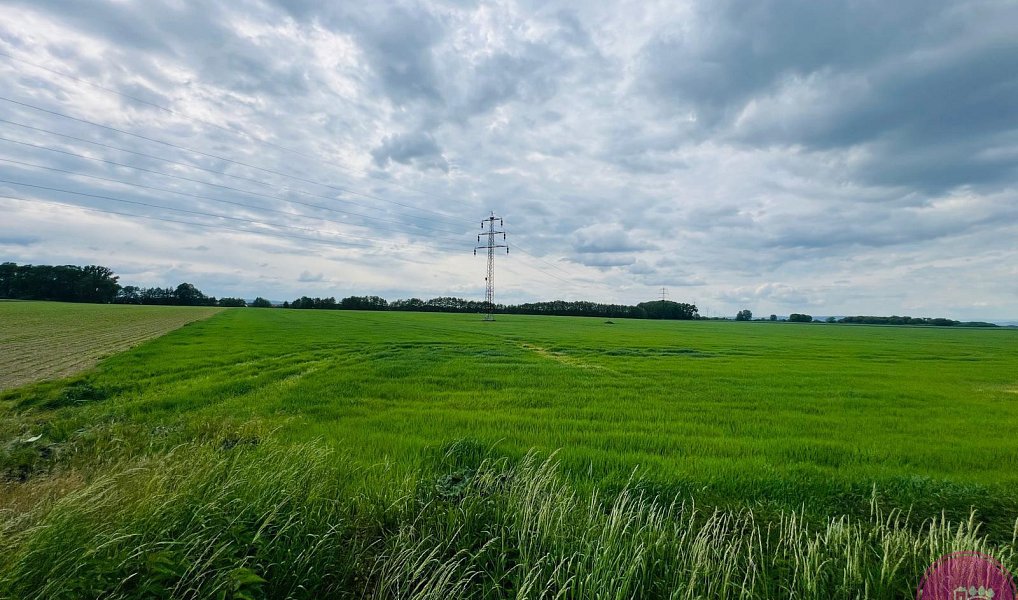 Prodej komerčního pozemku 29 280 m², Liboš – náhled fotky 6