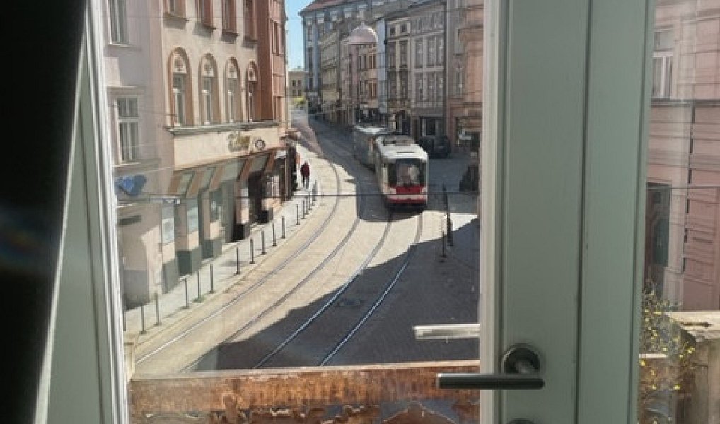 Pronájem bytu 1+kk 25 m², Olomouc – náhled fotky 8