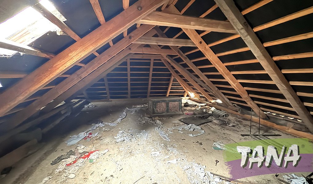 Prodej domu 250 m² s pozemkem 580 m², Polička – náhled fotky 23