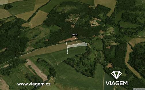 Prodej pole 446 m², Borotín, okres Tábor