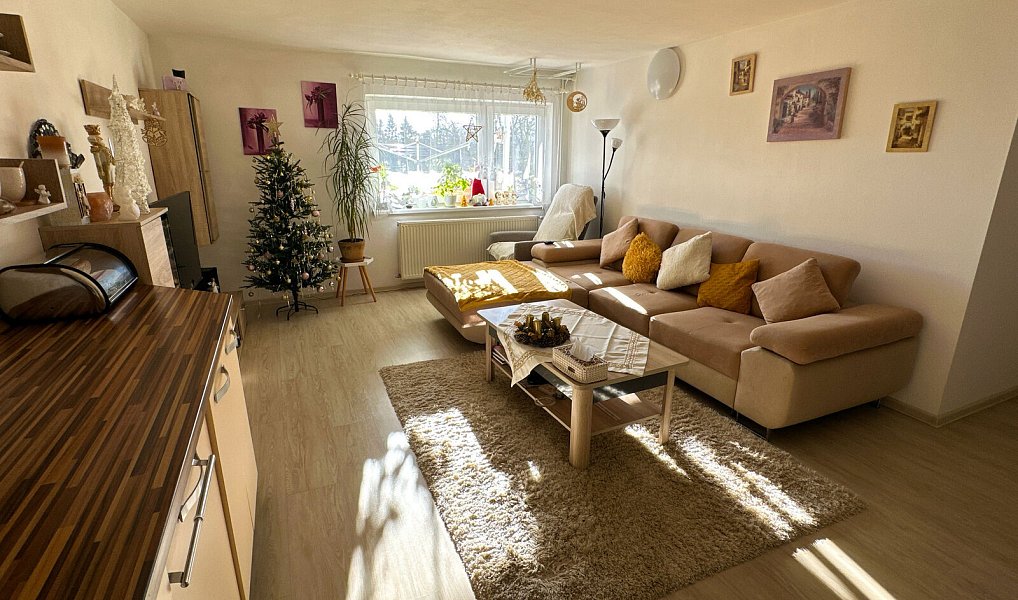 Prodej domu 300 m² s pozemkem 154 m², Tachov – náhled fotky 41
