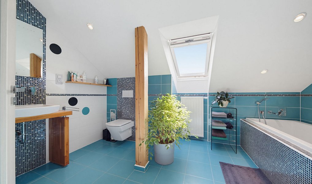 Prodej domu 300 m² s pozemkem 1 491 m², Luženičky – náhled fotky 28