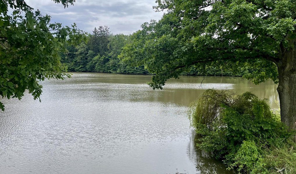 Prodej stavebního pozemku 3 756 m², Jindřichův Hradec – náhled fotky 6