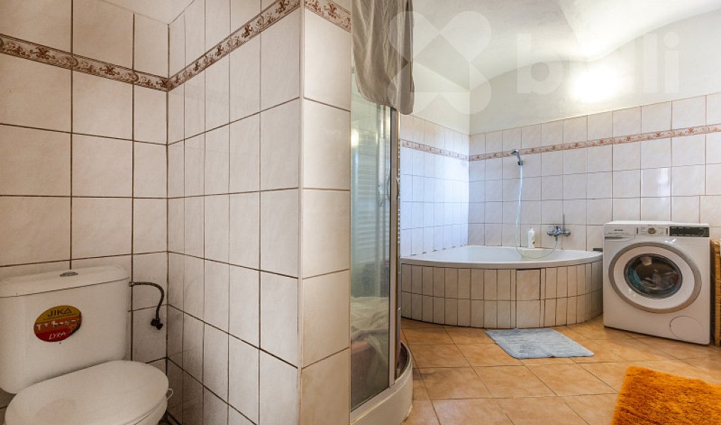 Prodej domu 415 m² s pozemkem 888 m², Kraselov – náhled fotky 11