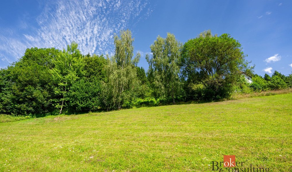 Prodej stavebního pozemku 7 018 m², Velké Hamry – náhled fotky 9